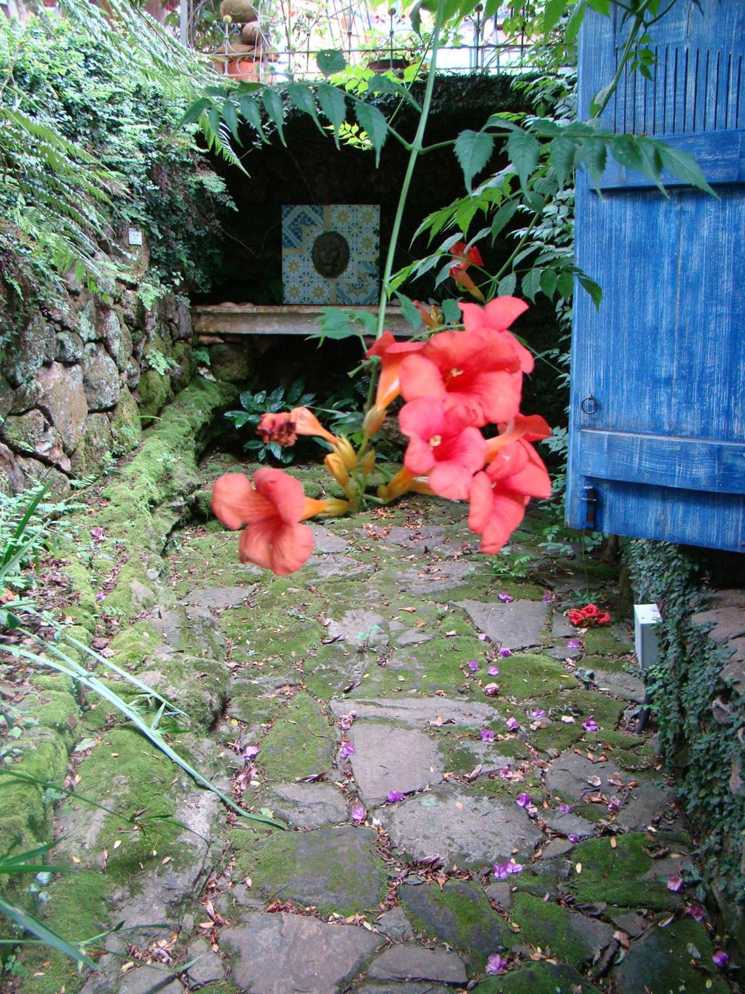 Villa Do Arquiteto Nova Petropolis Eksteriør bilde